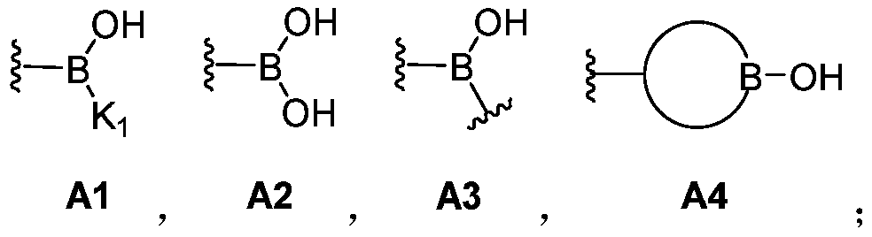 A dynamic polymer with a dynamic cross-linked structure