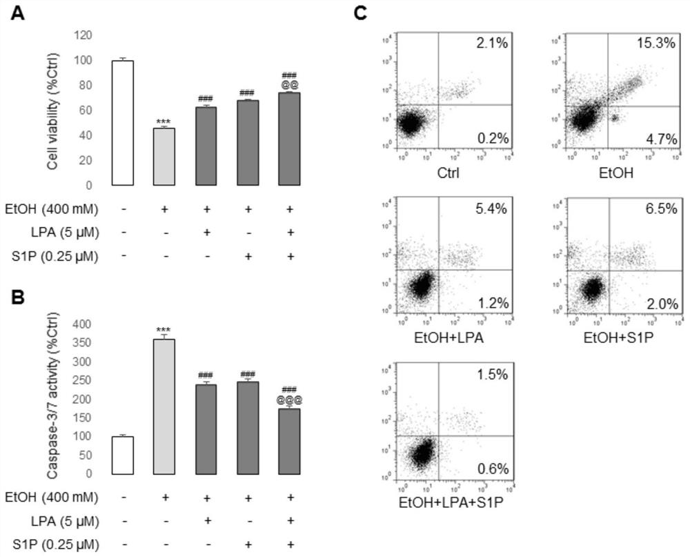 A kind of fat stem cell culture medium and application thereof