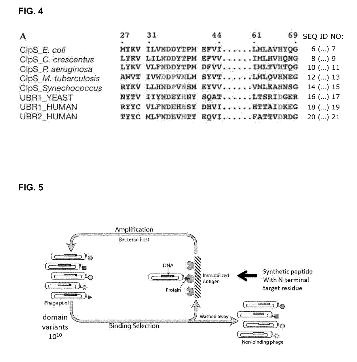 Protein sequencing method and reagents