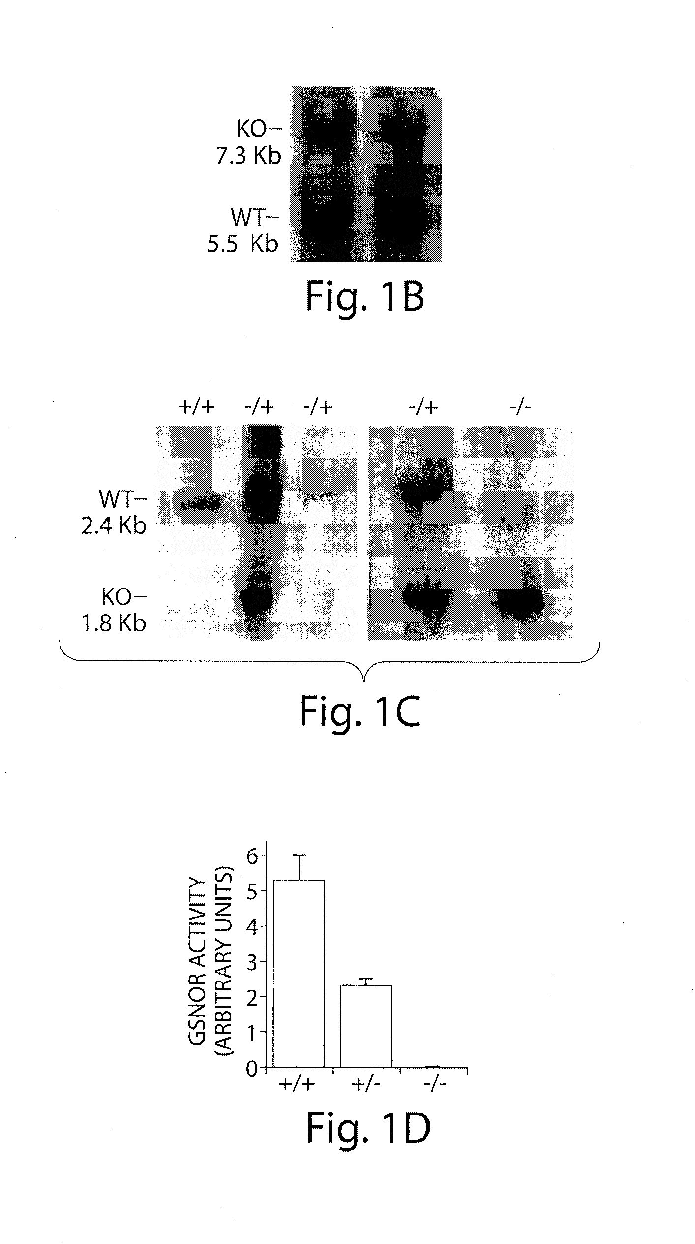 Compositions and methods for modulating s-nitrosogluthione reductase