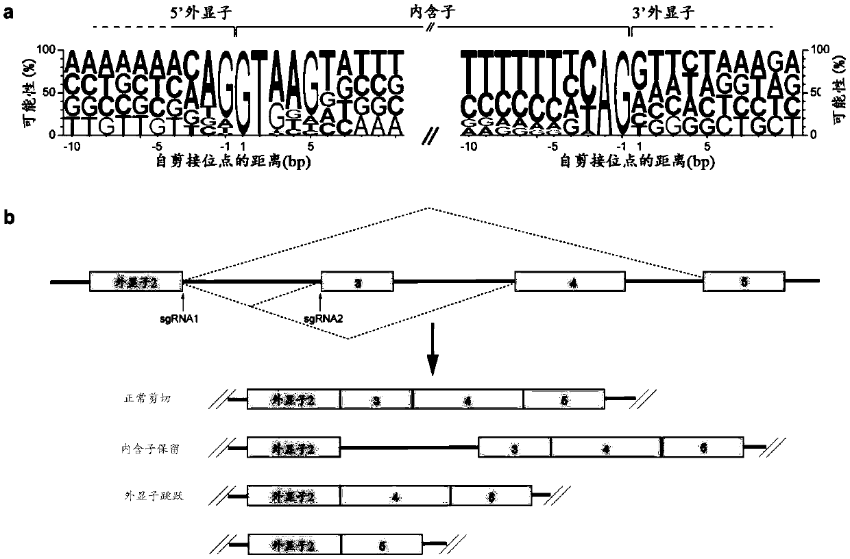 High-signal-noise ratio negative heredity screening method