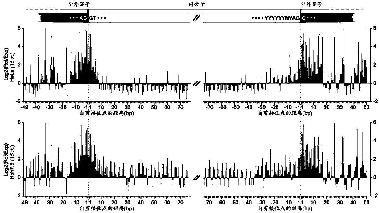 High-signal-noise ratio negative heredity screening method