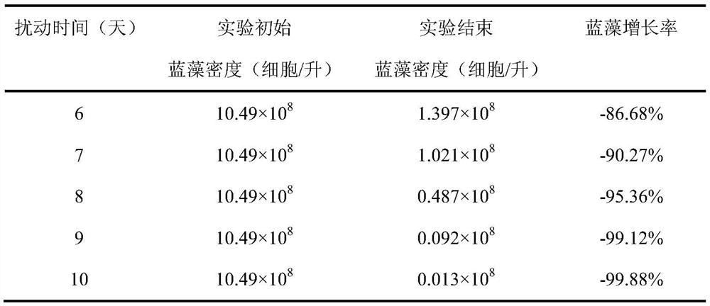 Method for synergistically treating cyanobacterial bloom through black film, disturbance and iron element