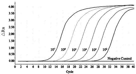 Construction method of recombinant plasmid of PD-1 (programmed death-1) in chicken peripheral blood mononuclear lymphocytes, real-time gene abundance detection method and application of detection method