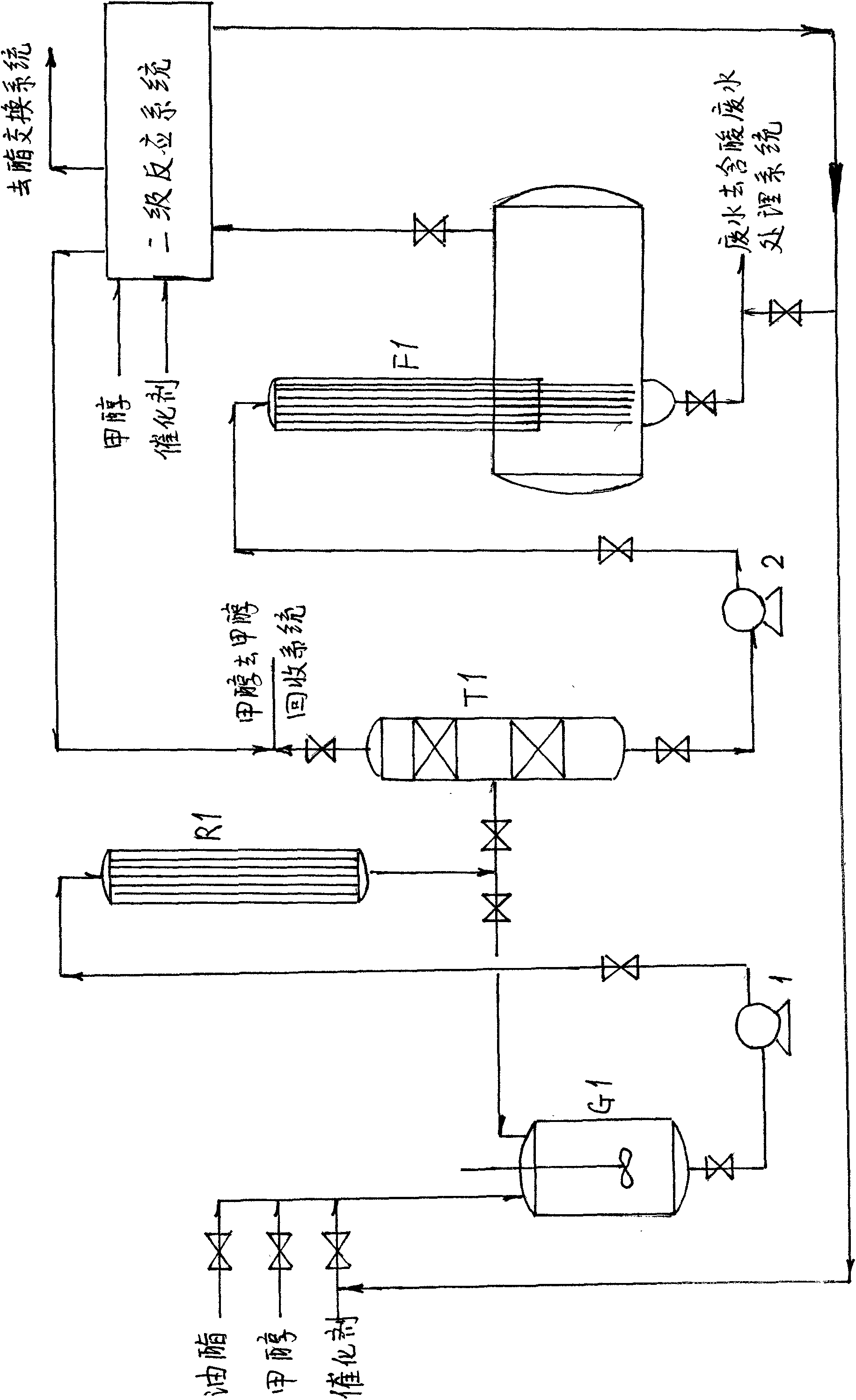 Continuous esterification and ester exchange process used for producing biodiesel