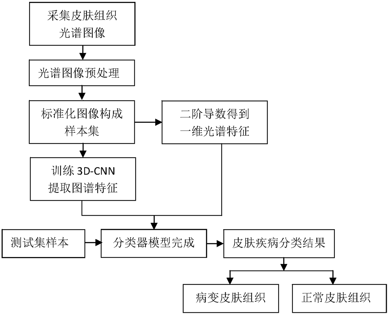 Spectrum detection system for skin disease diagnosis and establishment method for classifier model