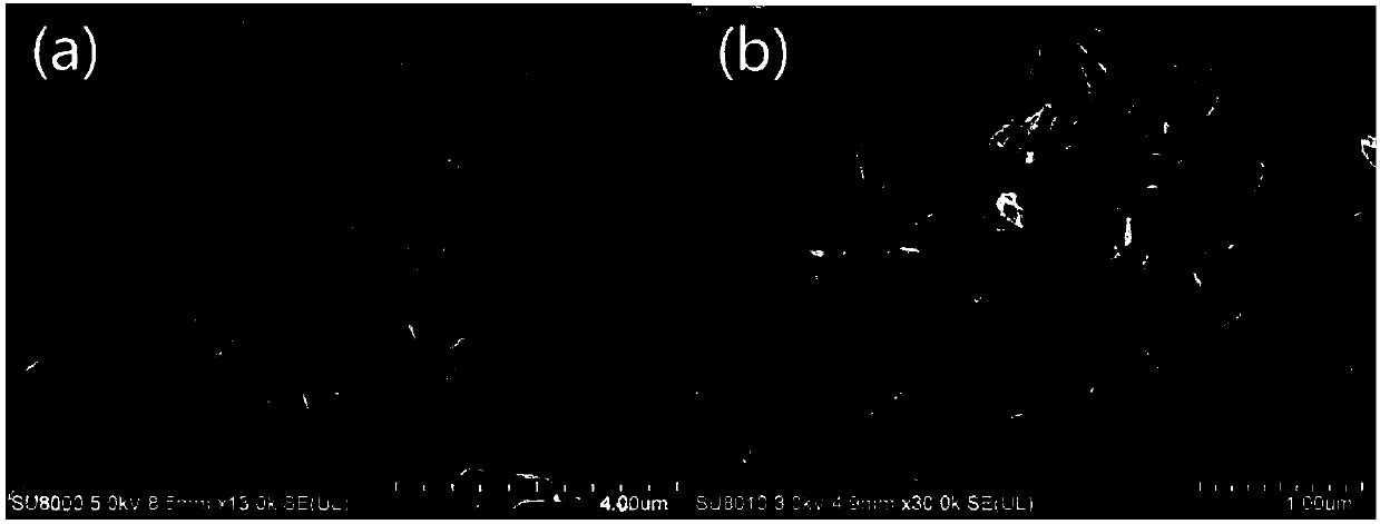 Tin sulfide-titanium dioxide compound and preparation method and application thereof