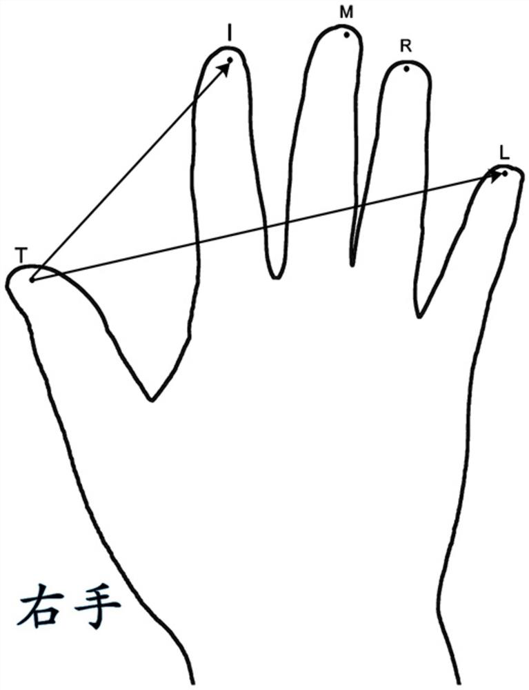 Finger identification algorithm