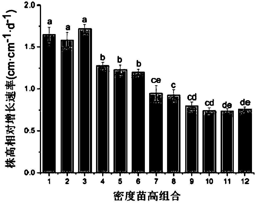 Method for obtaining optimal transplanting density and initial planting height of reed seedlings