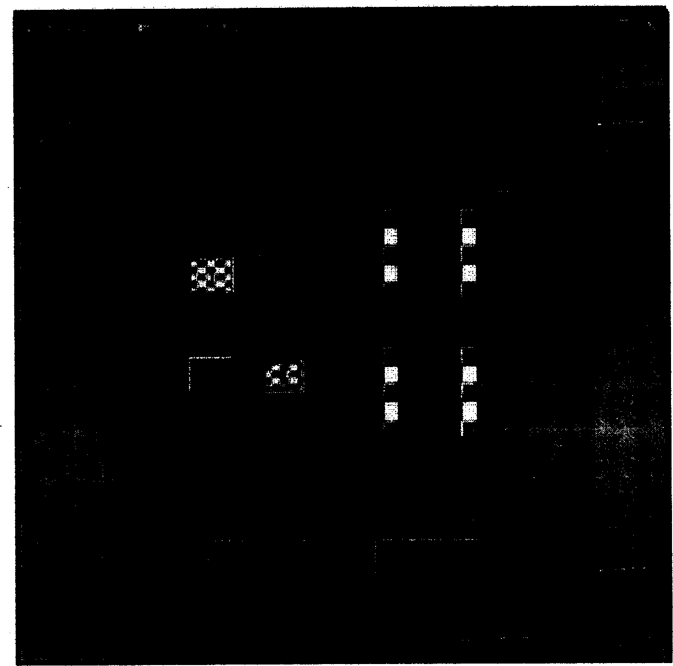 Robot tactile sense reproduction method based on water jet stimulation and apparatus therefor