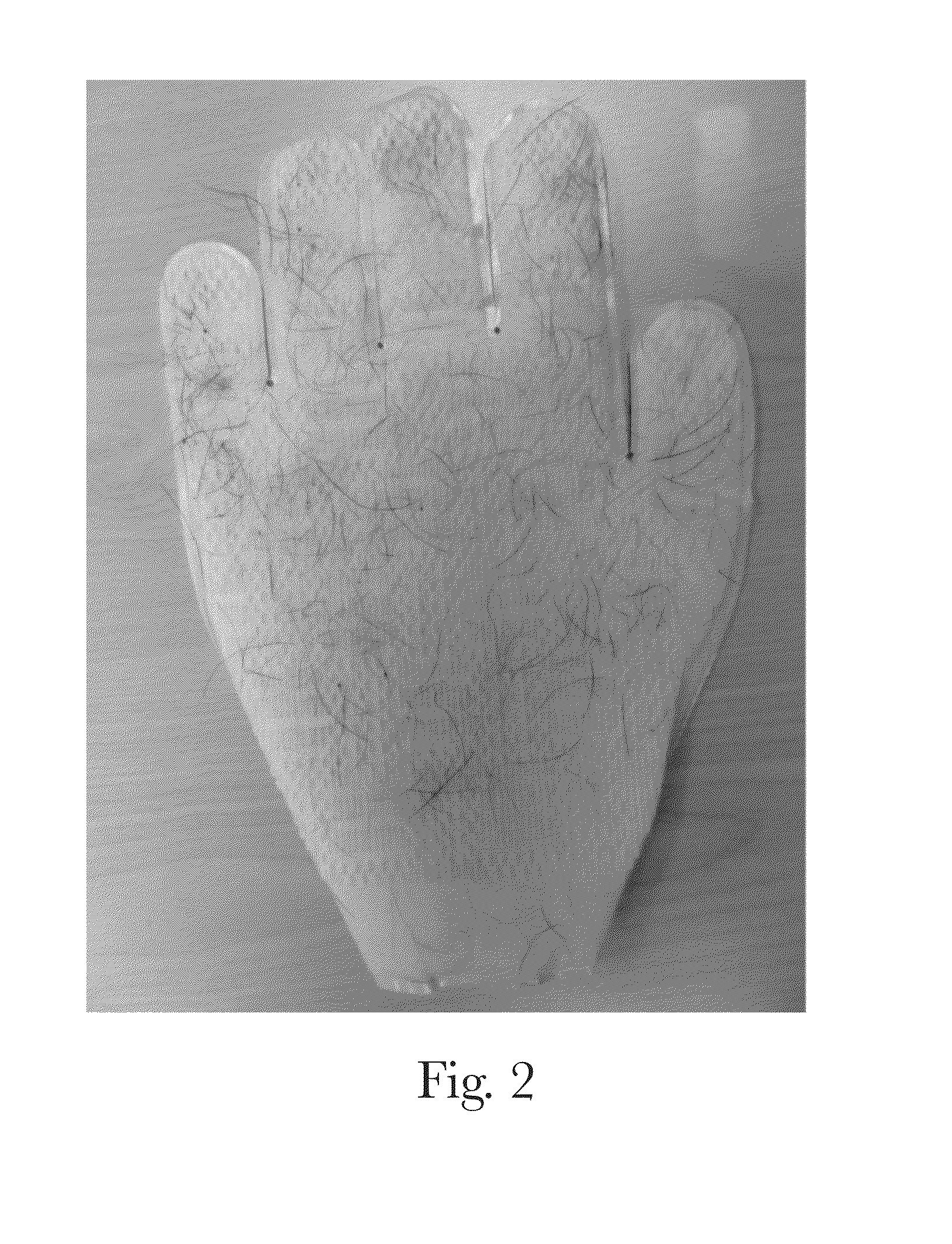 Pet Deodorizing Composition