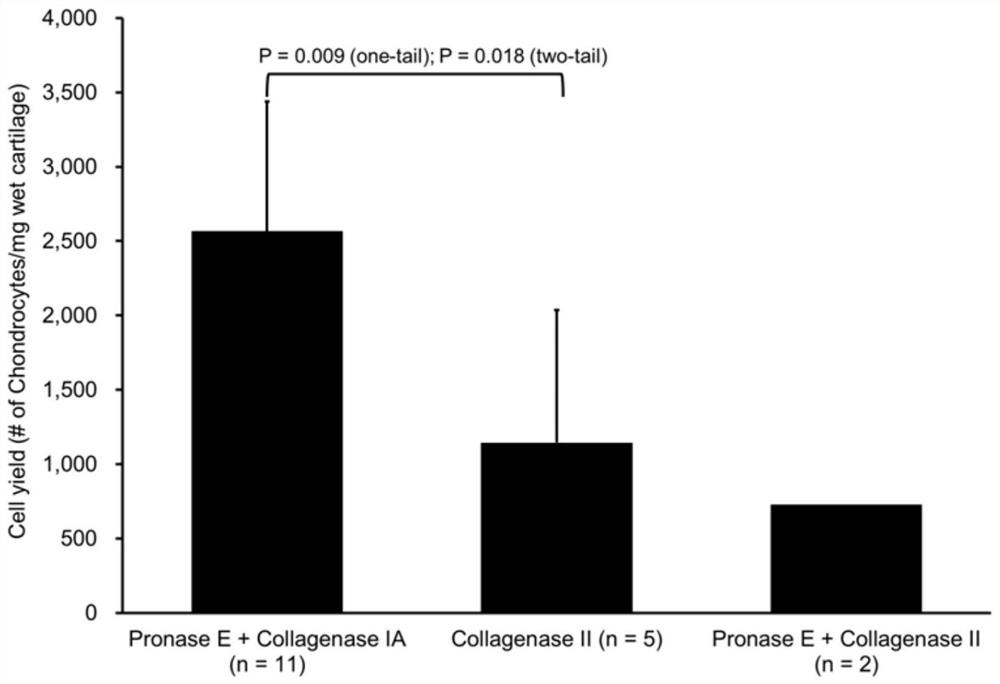 A method for isolating and culturing cells from aged human synovial articular cartilage