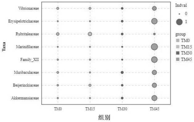 Application of tenebrio molitor in promoting growth of litopenaeus vannamei, increasing nutritional value and improving intestinal flora