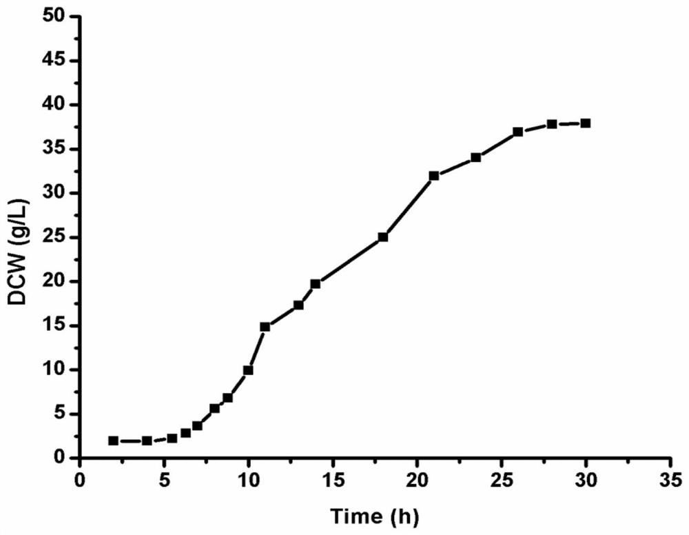 A kind of nitrilase and application thereof