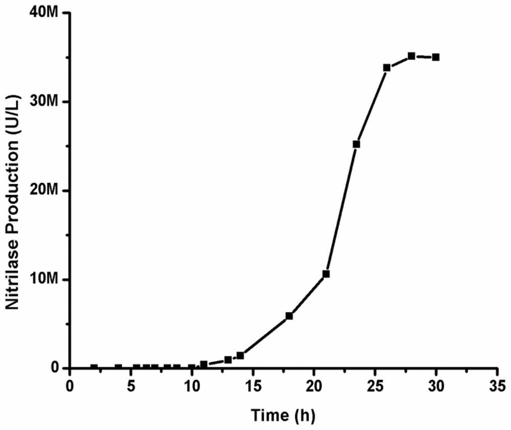 A kind of nitrilase and application thereof