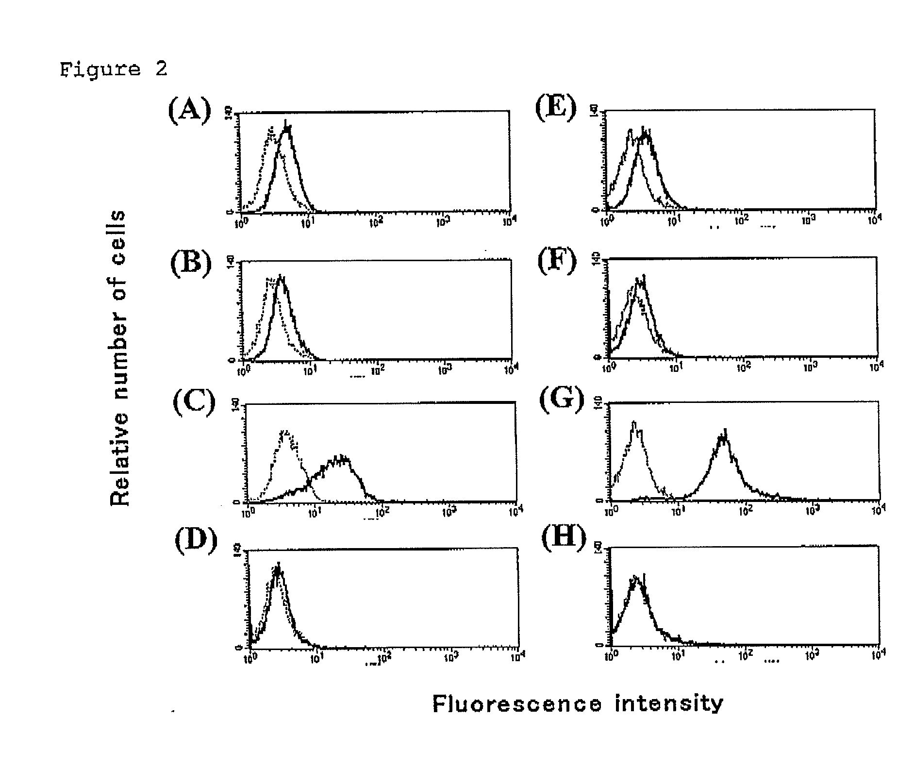 Multimer of extracellular domain of cell surface functional molecule