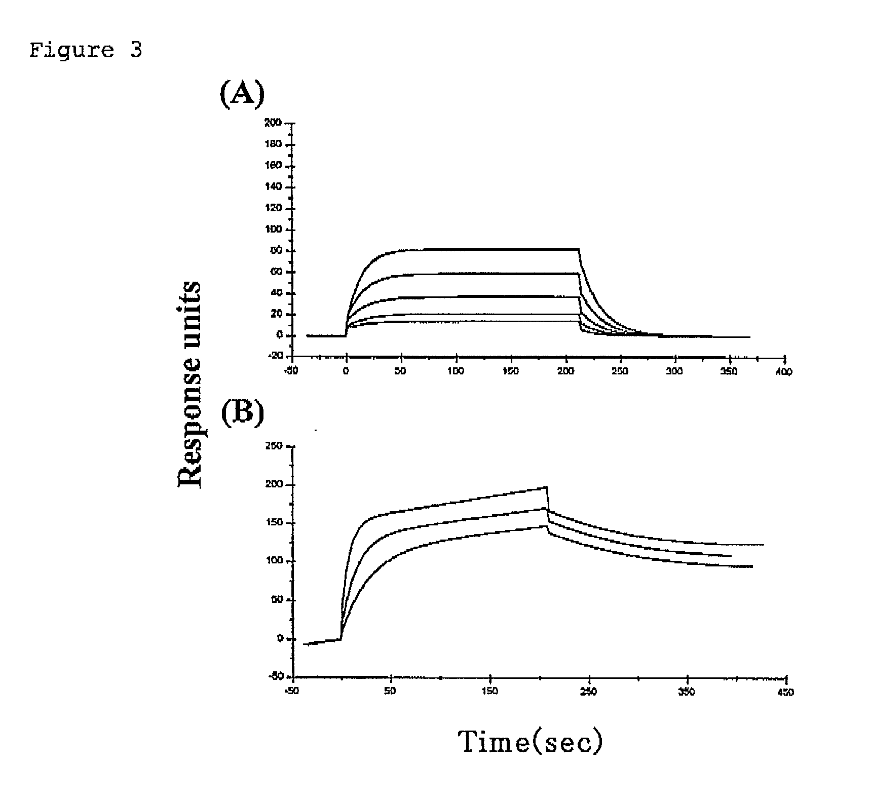 Multimer of extracellular domain of cell surface functional molecule