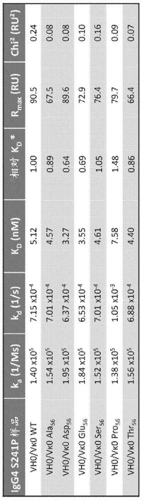 Antibodies against poliovirus receptor (PVR) and uses thereof