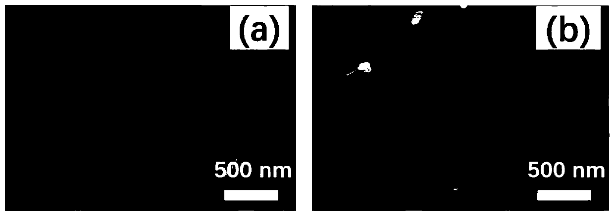 Perovskite solar cell additive based on cyanopyridine ionic liquid and applications thereof