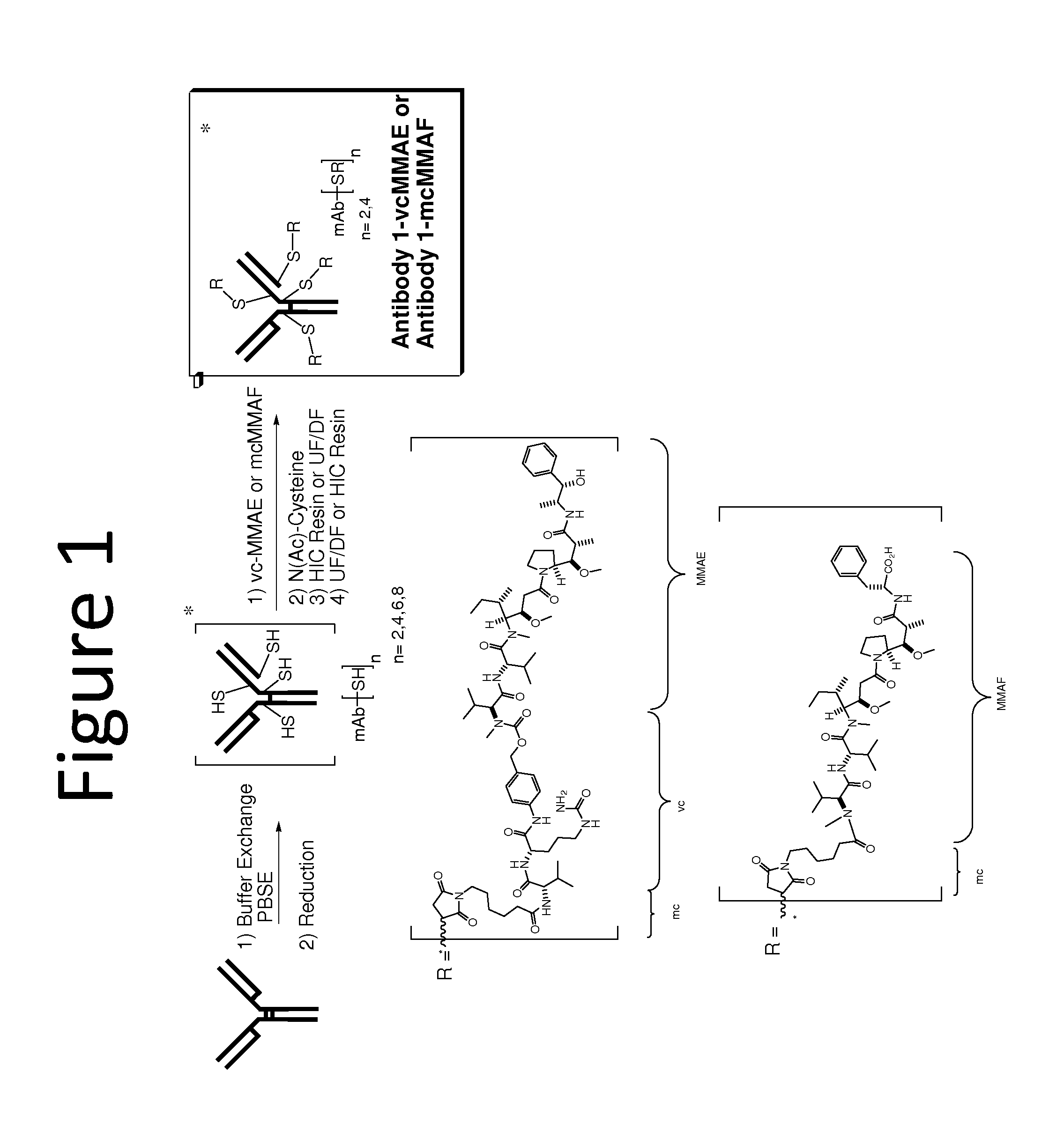 Antibody drug conjugate (ADC) purification