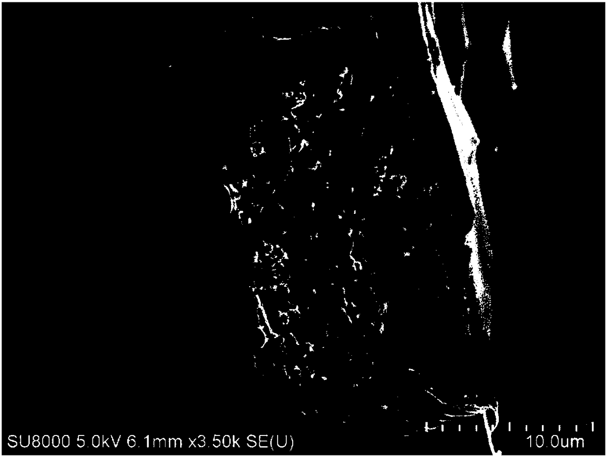 Synchronous-pyrolysis iron loaded biochar preparation method