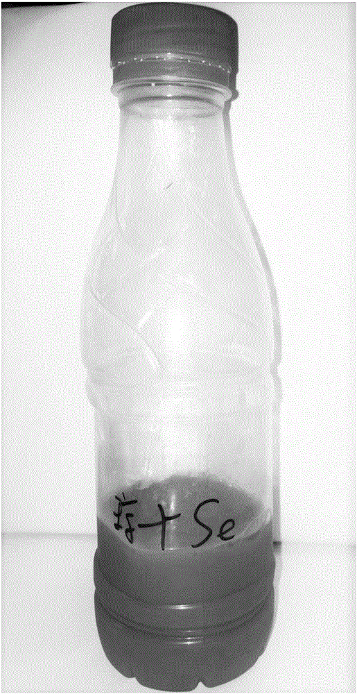 Selenium-enriched marine polysaccharide composition and preparation method thereof