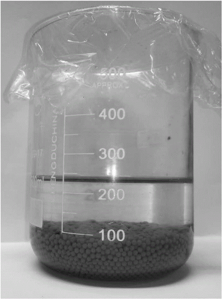 Selenium-enriched marine polysaccharide composition and preparation method thereof