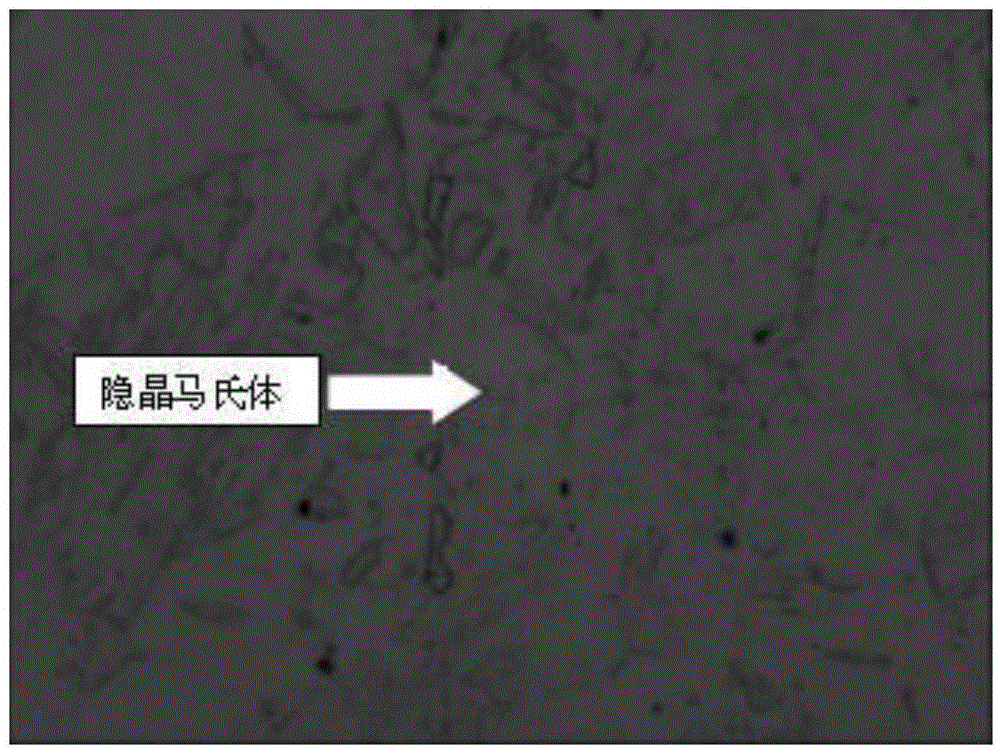 Oxide dispersion strengthened (ODS) steel preparing method and martensitic steel