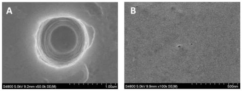 Construction of label-free nanopore sensor and application of label-free nanopore sensor in tetracycline detection