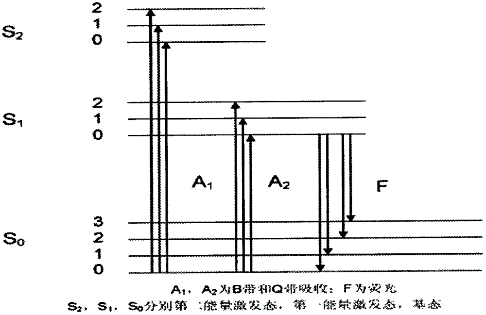 Immunofluorescence test strip based on phosphorescent technology, and preparation method and application thereof