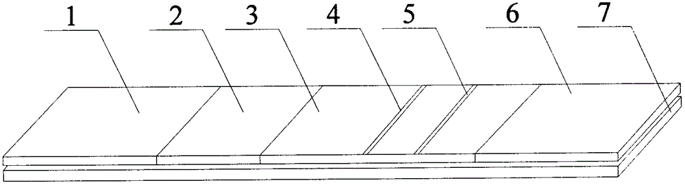 Immunofluorescence test strip based on phosphorescent technology, and preparation method and application thereof