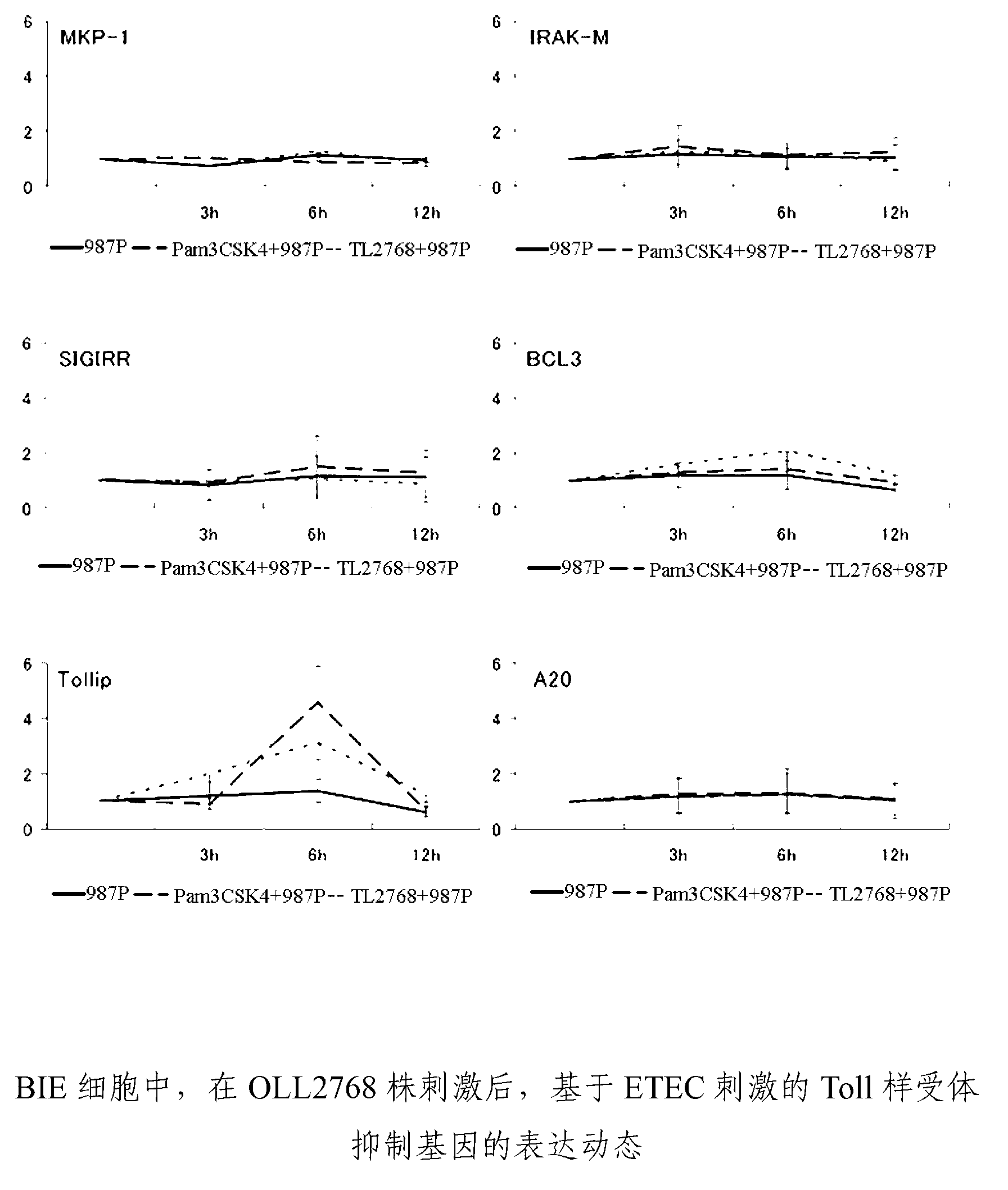 Method for screening intestinal immunity suppression agents