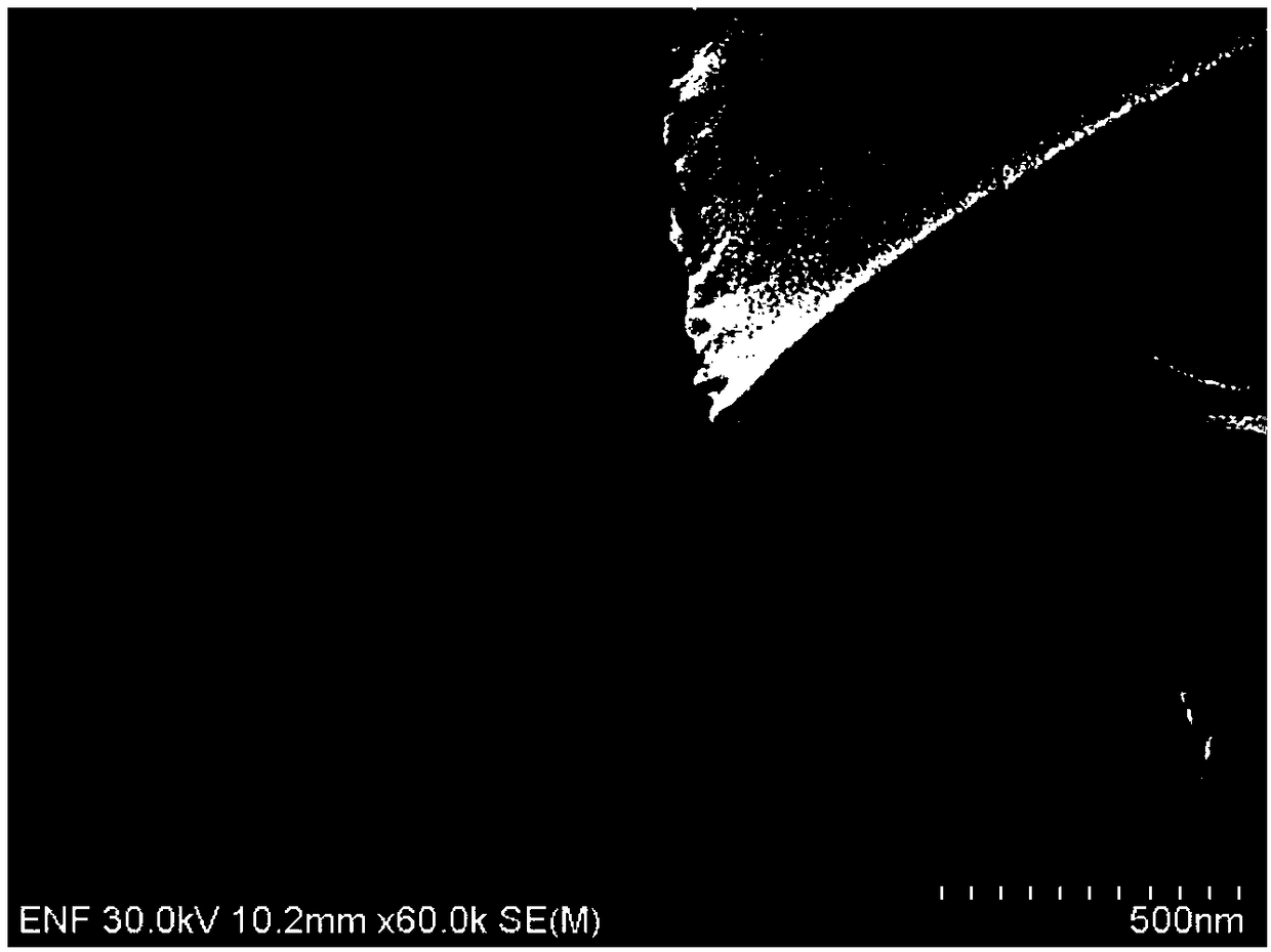 Etching liquid composition for copper-and-molybdenum-containing film