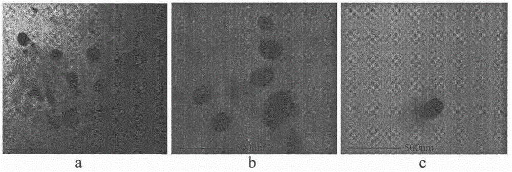 Preparation method for surface-laminated and self-assembled doxorubicin hydrochloride copolymer nano-particles