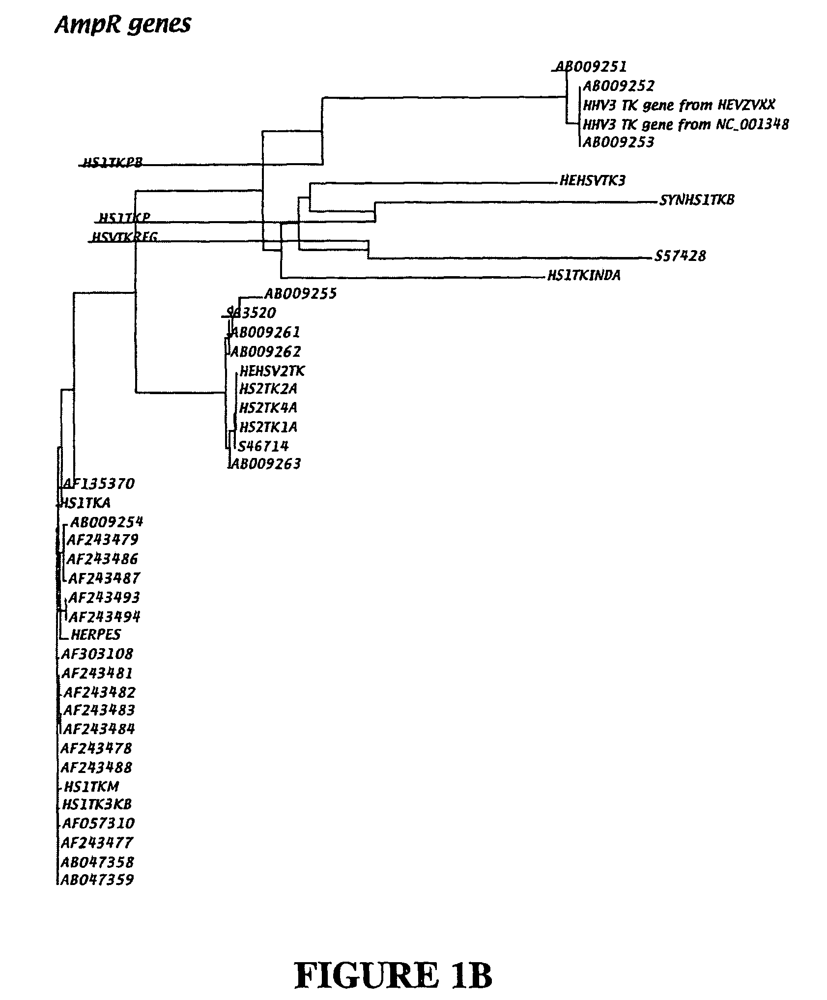 Detection and quantification of human herpes viruses