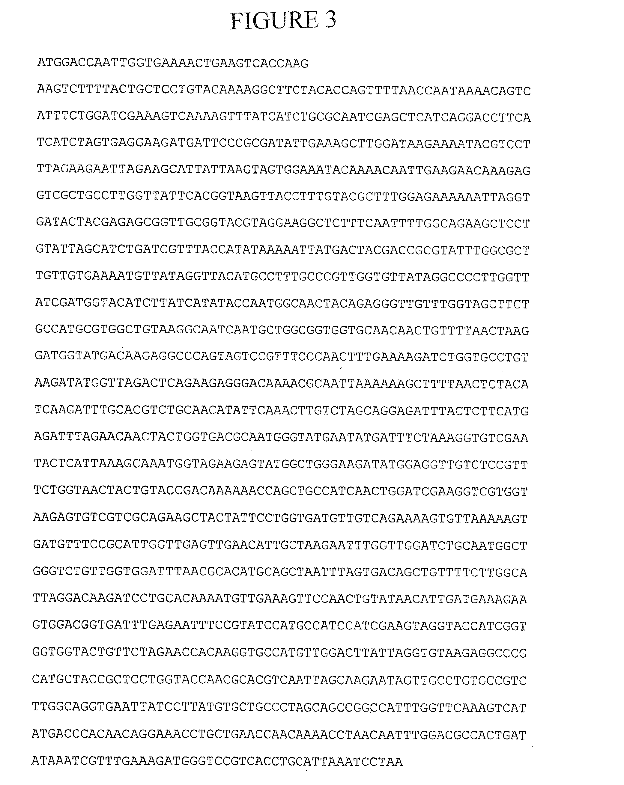 Microorganism for expressing a human membrane protein