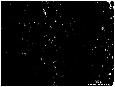 High-strength toughness non-quenched and tempered steel wire rod and its preparation method