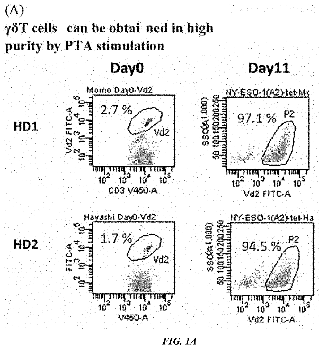 Method for gene transfer into gamma-delta type t cell