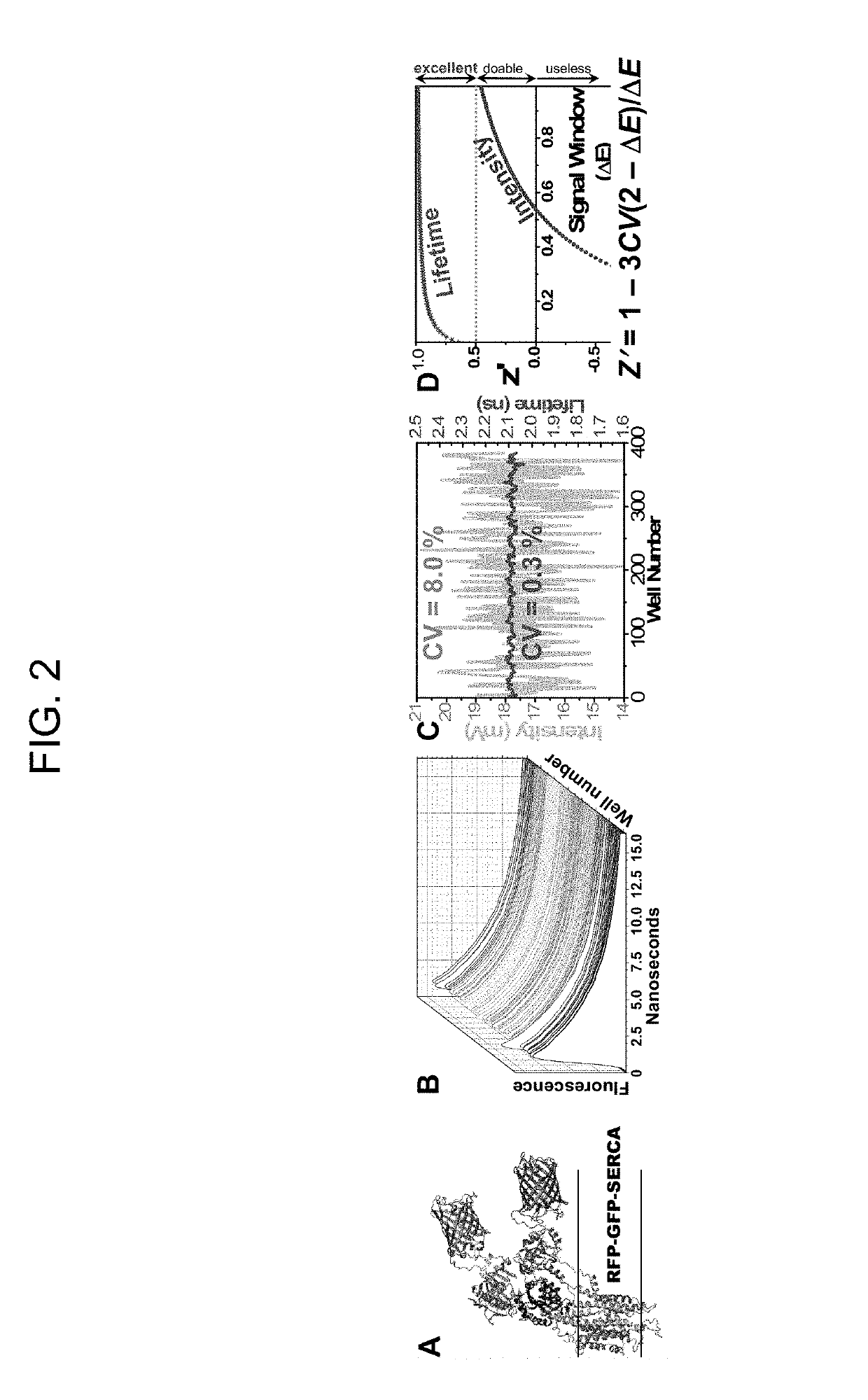 Methods to identify modulators of RyR calcium channels