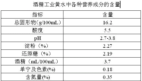 Method for production of bacillus licheniformis preparation by utilizing ethanol industrial yellow water