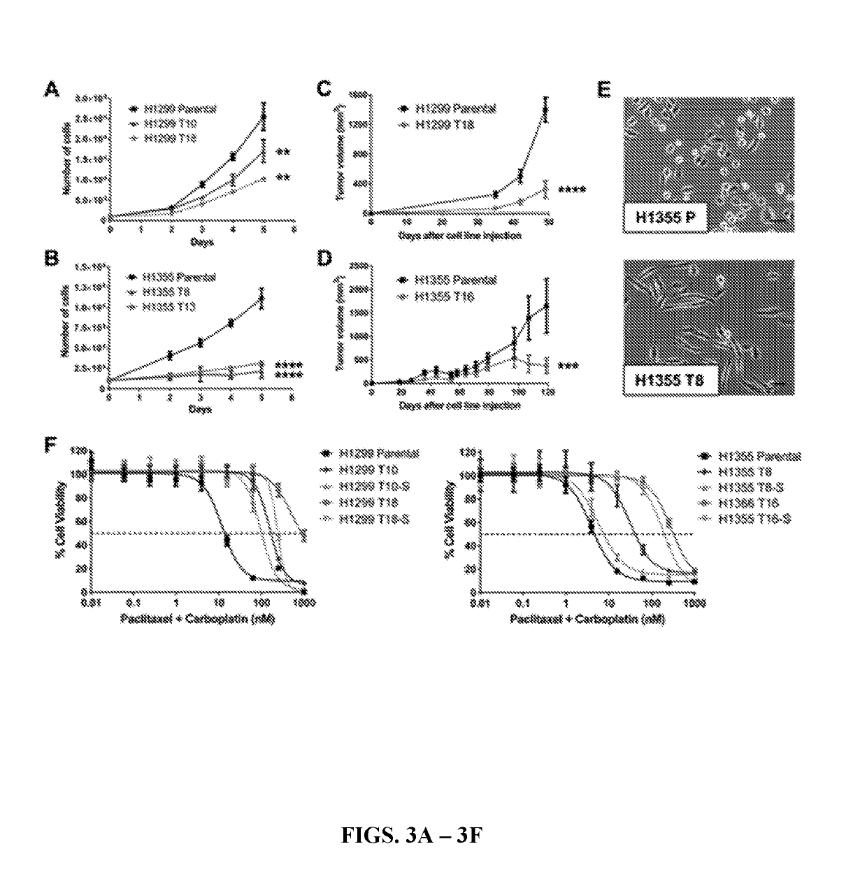 Use of jumonji c demethylase inhibitors for the treatment and prevention of chemotherapy resistance and radioresistance in cancer