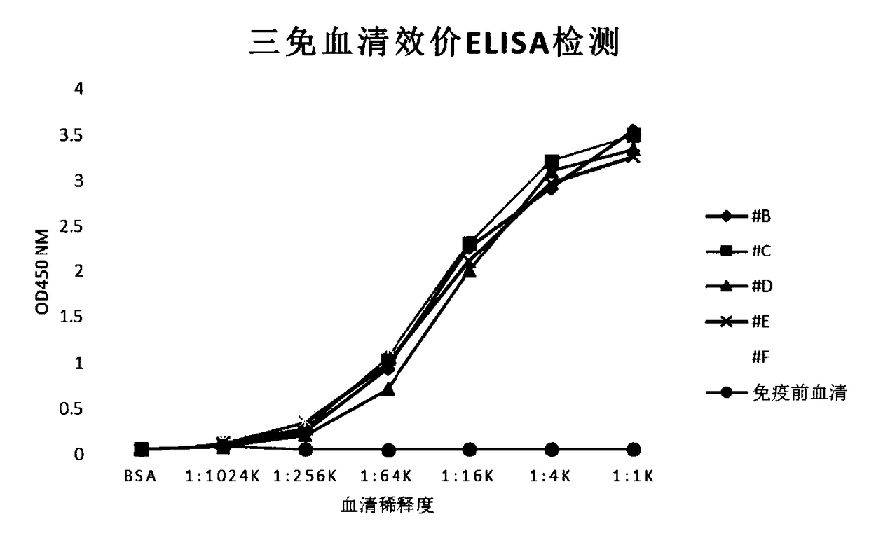 Monoclonal antibody capable of recognizing HPV18 and/or HPV45, and applications thereof