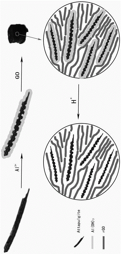 Preparation method of reduced graphite oxide-attapulgite composite aerogel