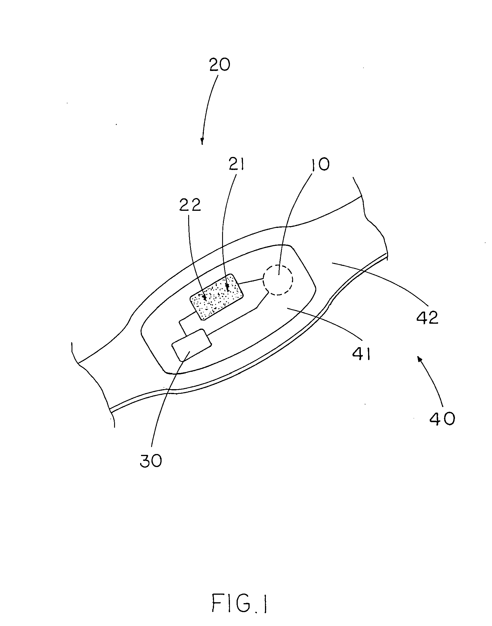 Biological chip