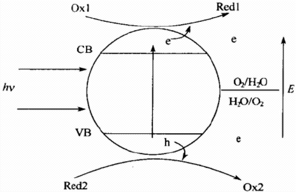 Air purification lacquer and preparation method thereof