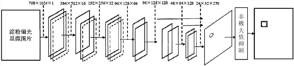 Method for on-line detection of starch gelatinization degree and gelatinization temperature