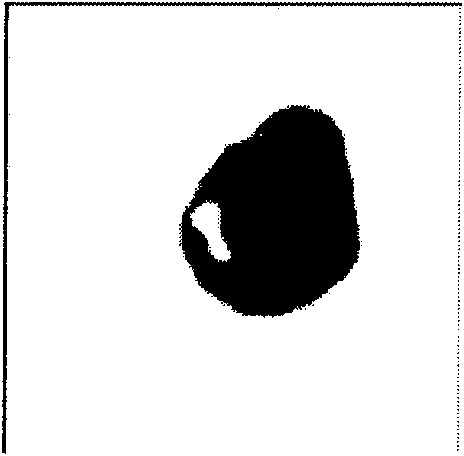 Segmentation method of cell nucleolus and cell membrane based on mixed contour model