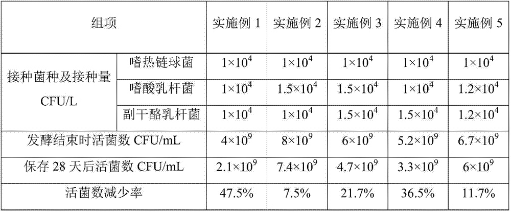 Probiotics fermented milk and preparation technology thereof