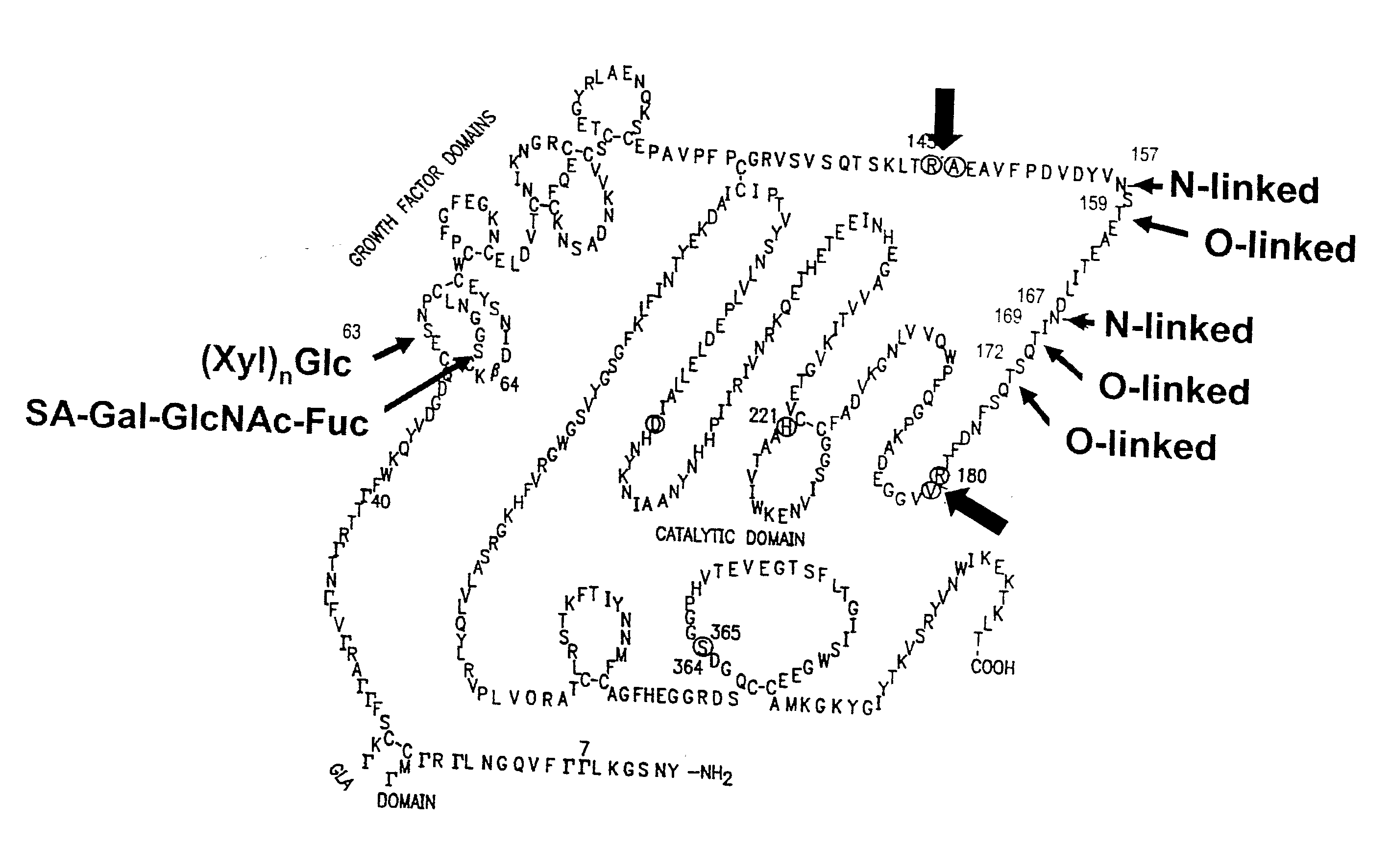 Glycopegylated Factor Ix