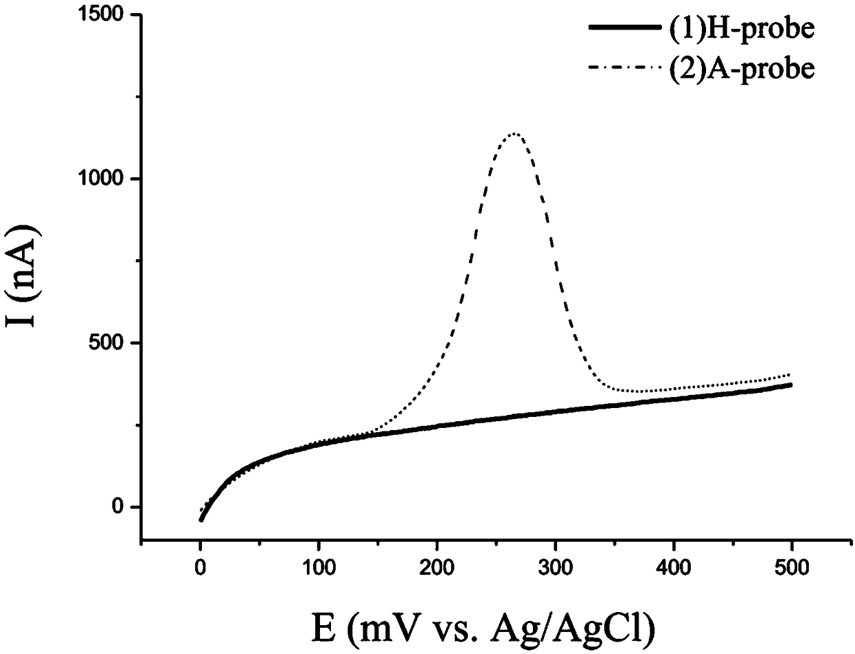 Biological sensing detection method used for Huso huso fry identification